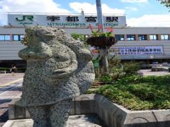 みんな大好きな餃子♡美味しい名店は浜松に勢ぞろい！？