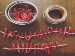 辛さと美味しさがクセになる激辛グルメに舌鼓！心も身体もシビれちゃう♪