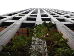 八重洲の居酒屋で仕事帰りに乾杯♡お酒も料理も絶品のおすすめ店