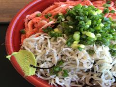 静岡が誇るご当地グルメに注目！富士山級の美味しさを満喫しよう