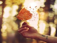 夏には遅いし秋には早い…季節の変わり目をあえて楽しむ、ネイルデザイン3つの提案