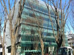 透明感のある世界を建築したのは？伊東豊雄さんが手がけた建物4選