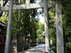 〈全国〉ご利益も思い出の品もゲット♡可愛いお守り&amp;おみくじに出会うお寺巡りをしよう