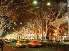 キラキラ輝く季節はもうすぐ♡表参道イルミネーション2016開催