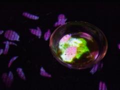 海と山とアートと。美しい作品がそろう“茨城県北芸術祭”が素敵すぎる