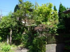 【鎌倉】古民家でとぅるんとぅるんプリンをパクっ。〜ミンカで過ごのんびりタイム〜