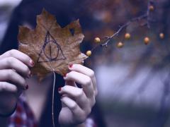 金欠だって季節感じるお洒落な指先が出来る？"セルフネイル"で叶える本格秋ネイル♡