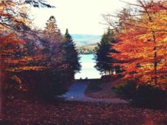 ほっこりのんびり紅葉狩り♡京都で紅葉が楽しめるおすすめスポット3選