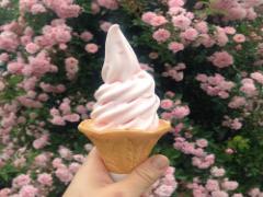 寒くたって食べたいの♡いいね数急上昇！のフォトジェニックなソフトクリームのお店