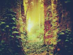 妖精に出会える幻想空間♡カクテルバー「The Iron Fairies Ginza」の魅力