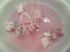 いつもピンクじゃつまらない！パープル・グリーン・ブルーの寒色ネイル