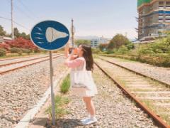 韓国4大雑貨ブランドが東京に集結！ラフォーレ原宿で噂の商品GETのチャンス