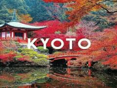 ただのお寺巡りだけじゃない！いつもとは違う”目的”を持った京都巡りの仕方