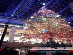 東北の冬もすごい！"SENDAI光のページェント"で一面光に包まれた幻想的世界を体験