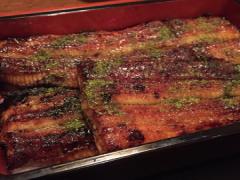 大阪で食すフワフワトロ～リの絶品うなぎ♡今日はちょっと奮発しよう！