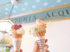 都内の絶品アイスクリーム店♡年中食べたいとろける美味しさ！