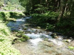 奥多摩日帰り観光ならここに行くべし♡東京No.1の癒しスポットに注目！