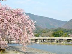 嵐山の観光は季節を問わず楽しめる♪女心を満たす欲張り日帰り旅