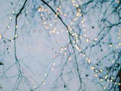 きれいなだけじゃ物足りない！アクティブに楽しむ遊園地イルミネーション３選