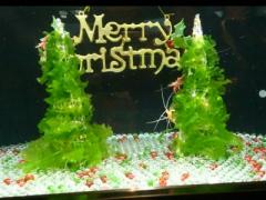 あの場所で素敵な時間が過ごしたいの。寒い季節も江ノ島を堪能できるスポット