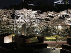 本場のインドカレーが味わえる！東京都内の絶品スパイシーレストラン