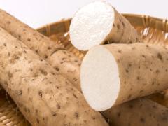 健康や美容をサポート！ 長芋のヘルシー和風サラダ