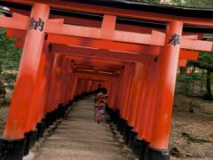 無数に並ぶ鳥居が魅力的。全国の鳥居が気になる神社へ行きませんか？