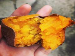 女の子なら誰でも大好き♡食欲の秋真っ盛りの芋栗南瓜スイーツに大注目