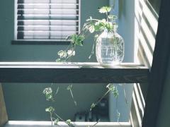 透き通るような、綺麗な手。主張しすぎない“クリアネイル”の魅力