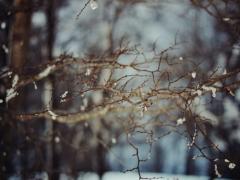 やり残したことはありませんか？新年を迎える前にしておきたい3つのコト