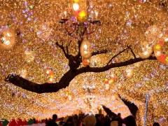 やっぱり東京がいちばん。2016年版・都内のイルミネーション7選