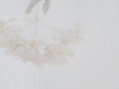 “貴方に似合う”を引き出してくれる。大阪で話題LIMの2つのネイルサロン