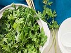 気になる臭い対策には「パクチー」って本当？ 苦手な人もOKのレシピ公開