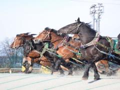 グルメ王国帯広！地産地消で美味しいものを食べまくろう♡
