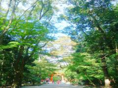 実際に行ってみて美味しかった！おすすめ京都グルメを集めました♡