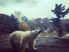 お肉も海鮮も全て新鮮な旭川！グルメタウンの中心地へ集合♪