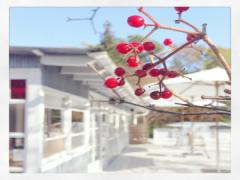 ステキが溢れてる！わざわざ出かけたい那須のカフェ♡