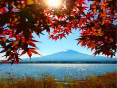 とってもグルメな街：甲府♡山梨県の郷土料理をおいしく食べつくそう！