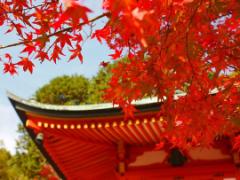 京都の家庭の味を堪能しませんか？美味しいおばんざいの名店