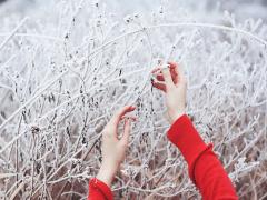 ぬくっとほっこりを感じて。さらっと素材で冬の儚げマットネイル16選