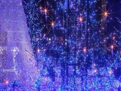 この冬気になるあの人と絶対いきたい。読売ランドイルミネーション