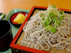 麺類なのに太りにくい！蕎麦に隠されたダイエット効果