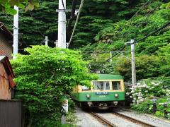 非日常が味わえる。鎌倉の自然に囲まれながら楽しむ場所がこんな所に隠れてた。