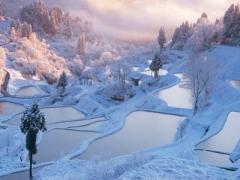 温かな灯りに包まれる雪景色。幻想的な「灯の回廊」で新潟の冬を堪能して