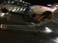 コラボ商品も続々。サークルKサンクスのスイーツから目が離せない