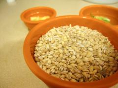 「もち麦」ダイエットって痩せるの？魅力と効果的なやり方