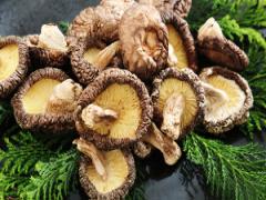 “手軽＆おいしい” だから手放せない！ 干しシイタケ活用術