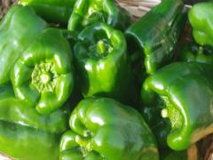 包丁いらずで煮物が完成！ 丸ごとピーマン煮