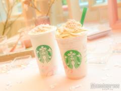 スタバ新作SAKURAドリンクで春を先取り！メープルで新しい味わいを演出