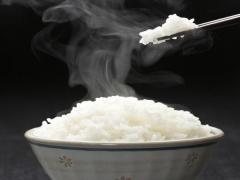 お弁当のパサパサごはんを防ぐには？五ツ星マイスターがふっくら指南